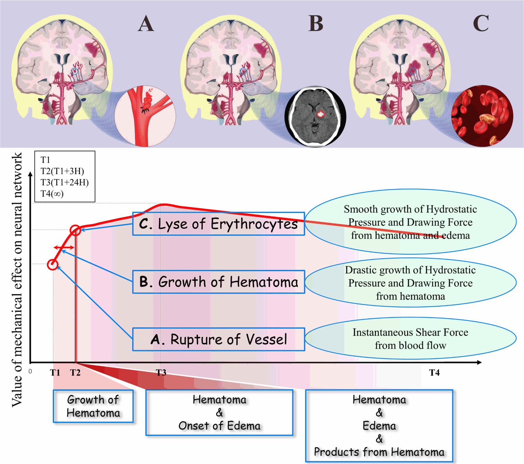 Figure 1.gif